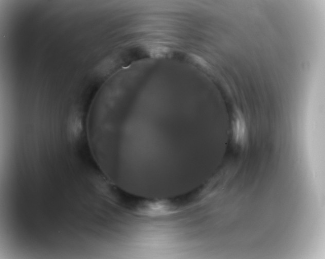 X0000088470618200706051344