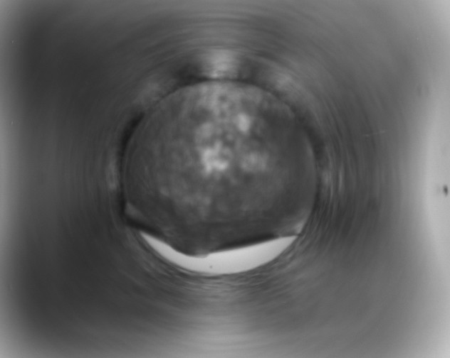 X0000088470620200706051343