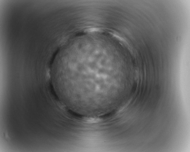 X0000088470621200706051343