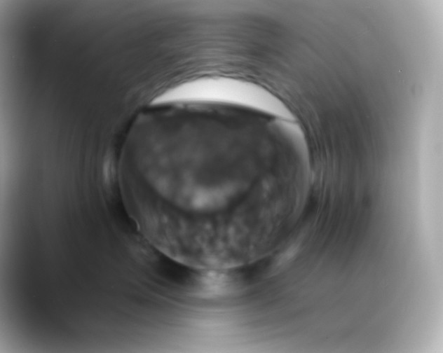 X0000088470623200706051343