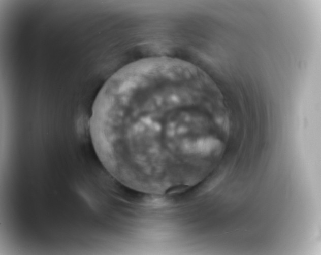 X0000088470624200706051343