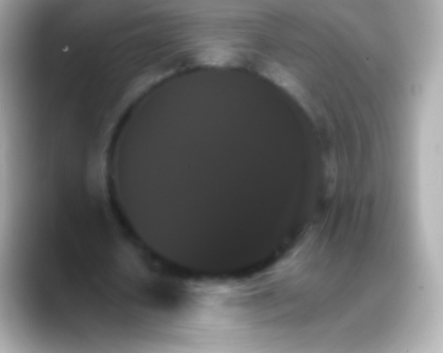 X0000088470626200706051343