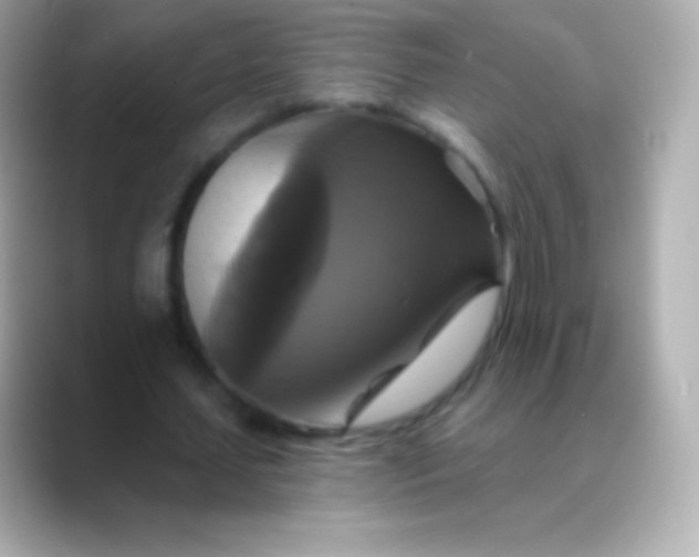 X0000088470627200706051343