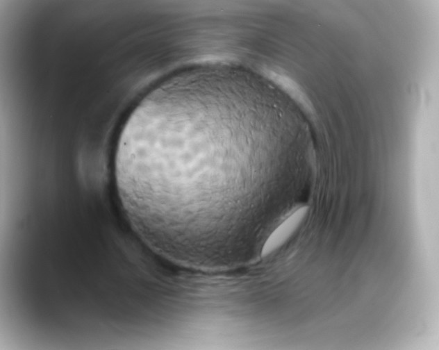 X0000088470628200706051343