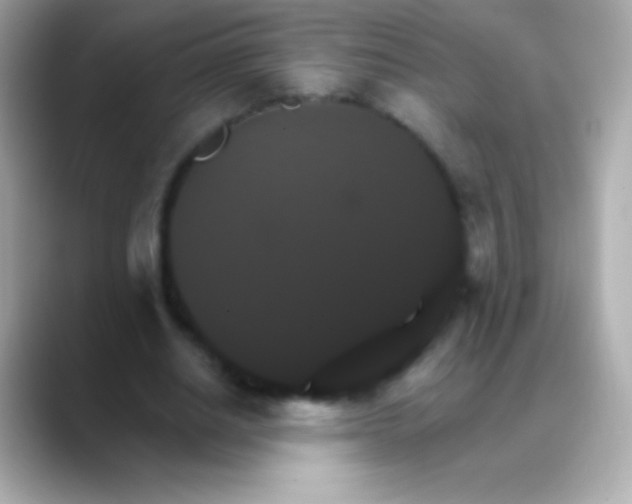 X0000088470630200706051343