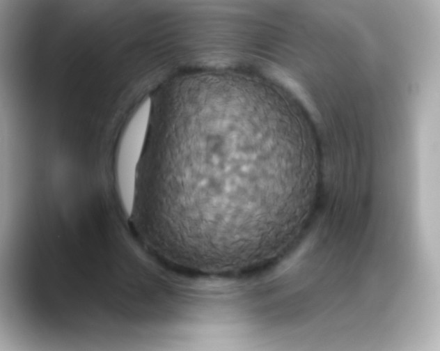 X0000088470633200706051343