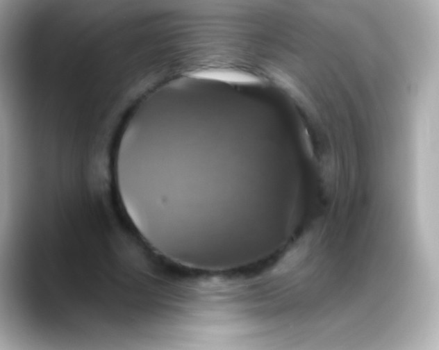 X0000088470634200706051343