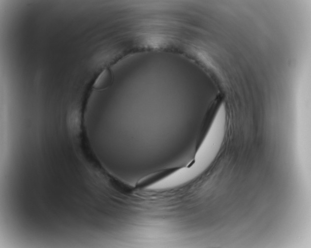 X0000088470640200706051343