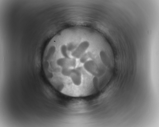 X0000088470642200706051343