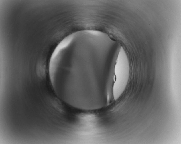 X0000088470644200706051343