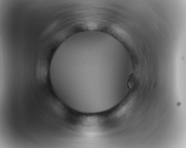 X0000088470645200706051343