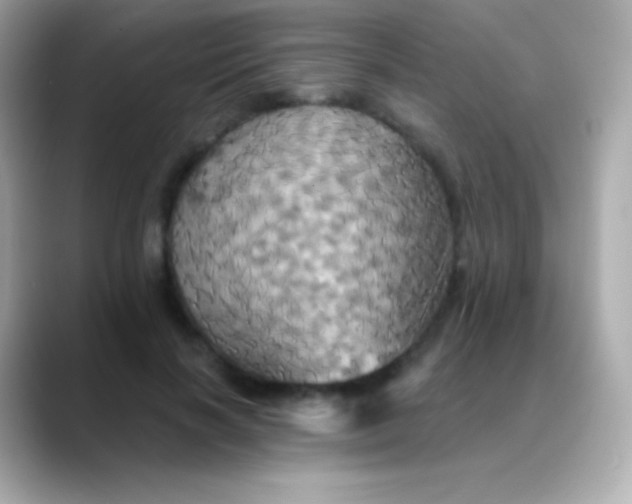 X0000088470646200706051343