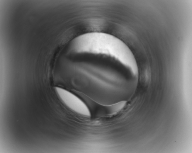 X0000088470647200706051343