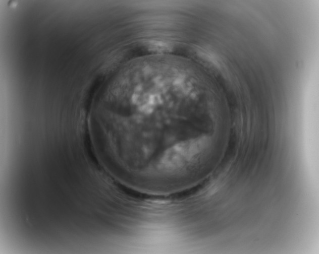 X0000088470649200706051343