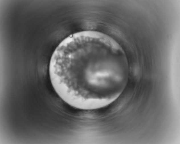 X0000088470652200706051343