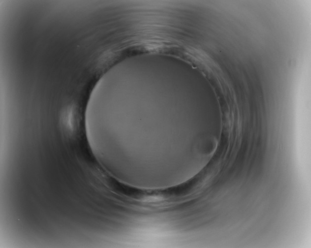 X0000088470653200706051343