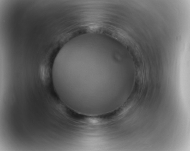 X0000088470654200706051343