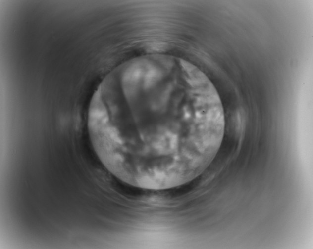 X0000088470655200706051343