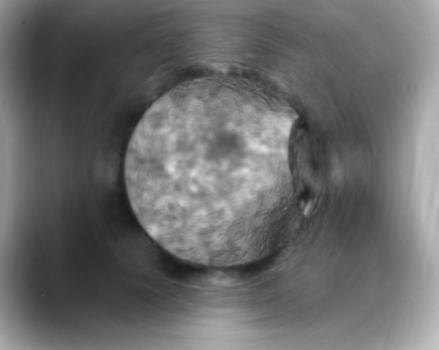 X0000088470656200706051343