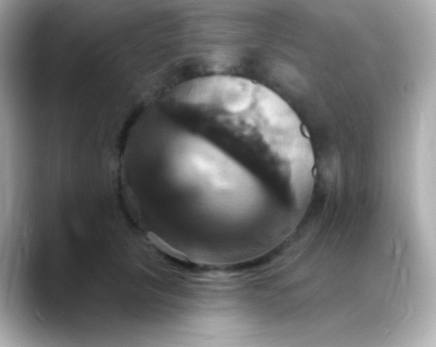 X0000088470657200706051343