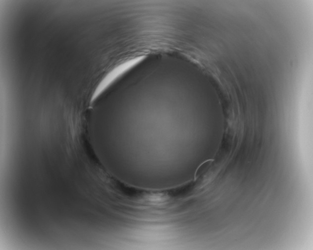 X0000088470659200706051343