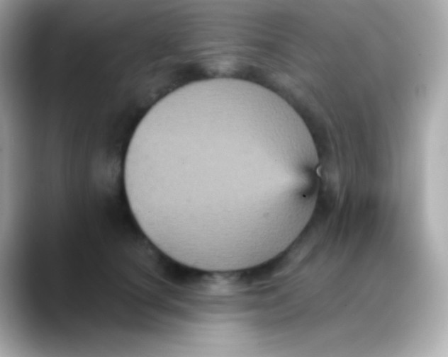 X0000088470660200706051343