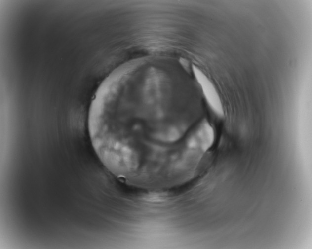 X0000088470664200706051343