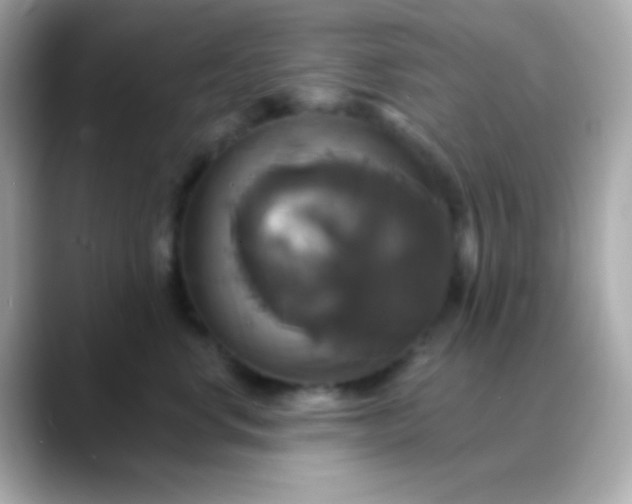 X0000088470668200706051343