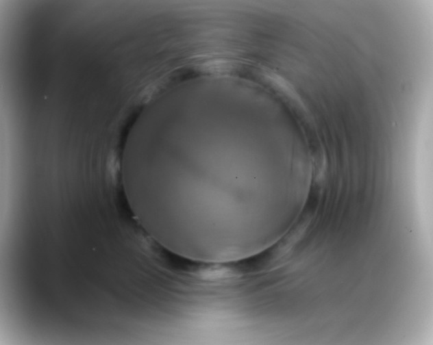 X0000088470669200706051343