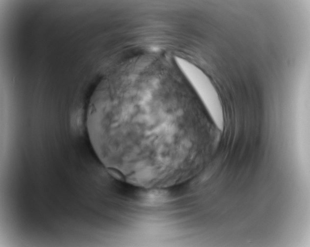 X0000088470670200706051343