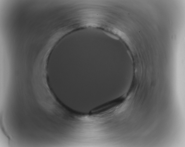 X0000088470673200706051343