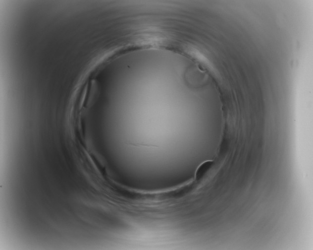 X0000088470674200706051343