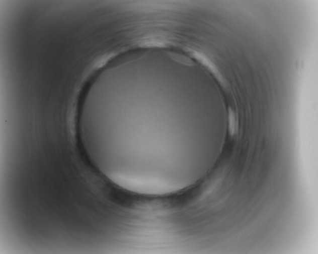 X0000088470675200706051343