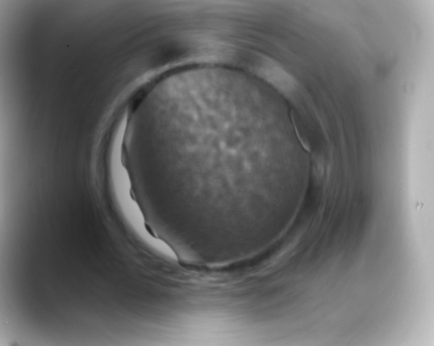 X0000088470676200706051343