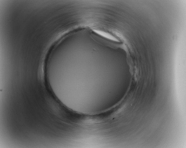 X0000088470678200706051343