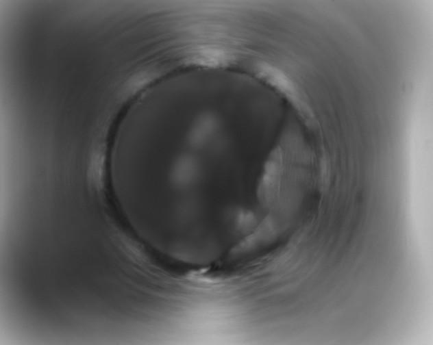 X0000088470679200706051343