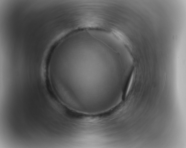 X0000088470680200706051343