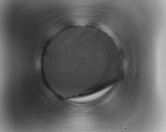 X0000088470681200706051343