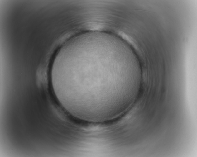 X0000088470682200706051343