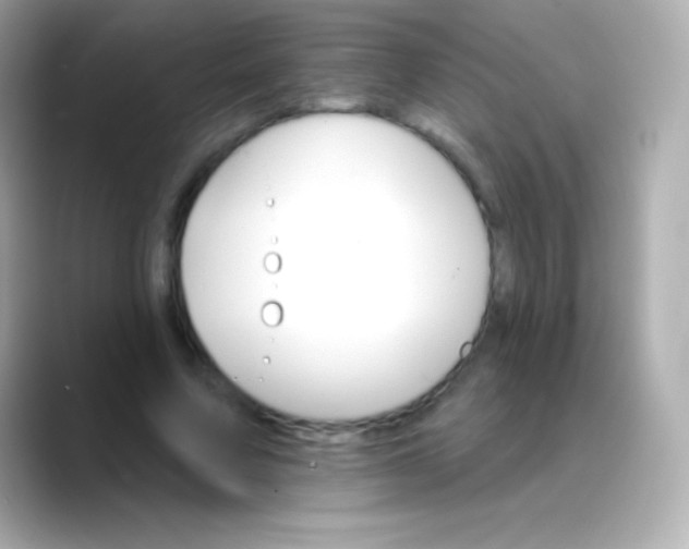 X0000088470683200706051343