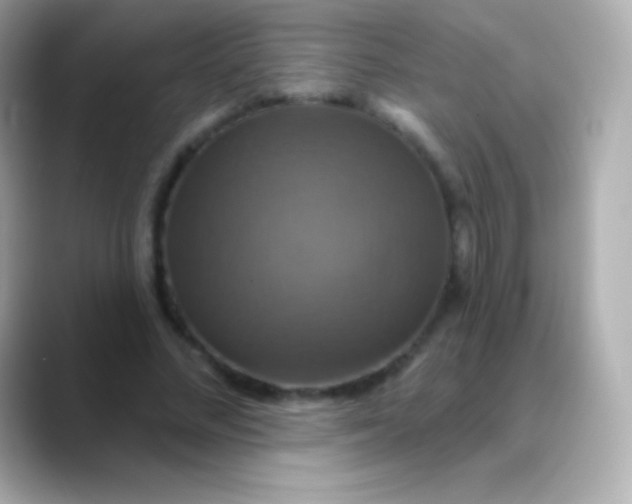 X0000088470684200706051343