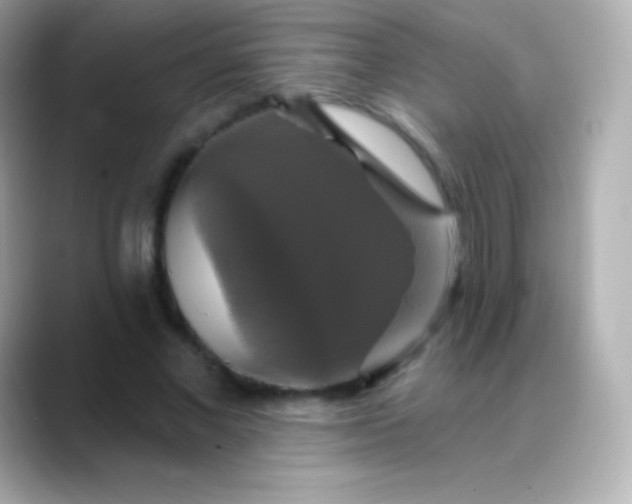 X0000088470685200706051343