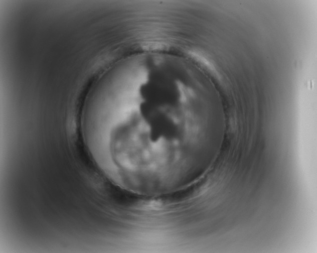 X0000088470687200706051343