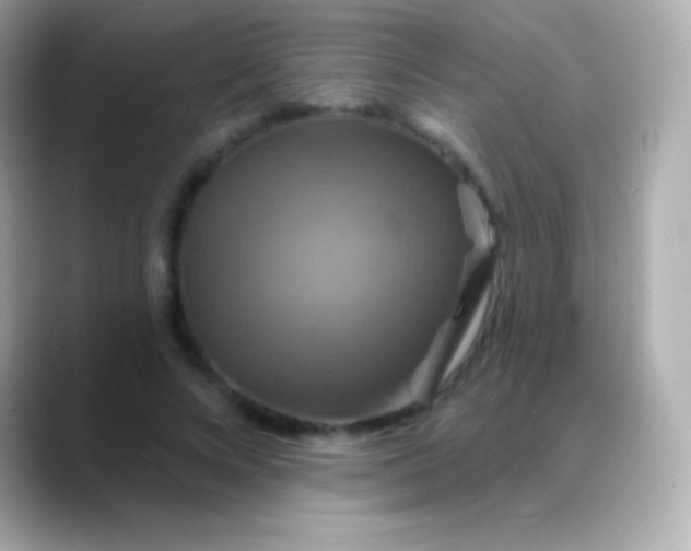 X0000088470688200706051343