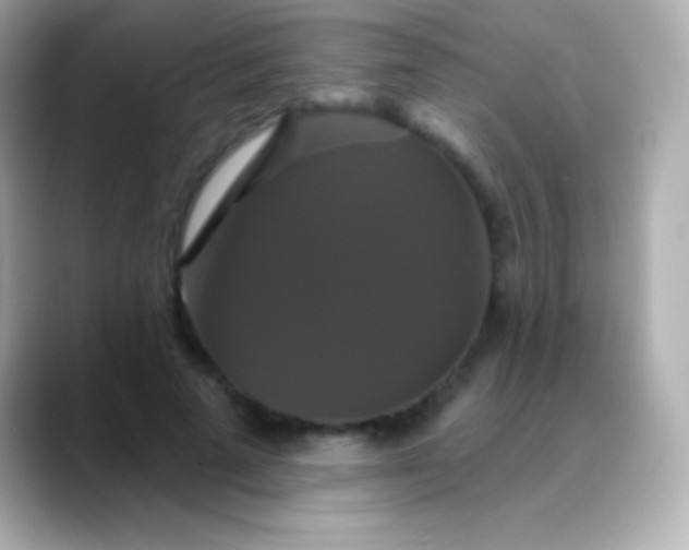 X0000088470689200706051343