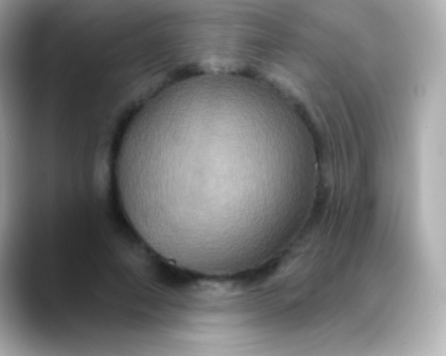 X0000088470690200706051342