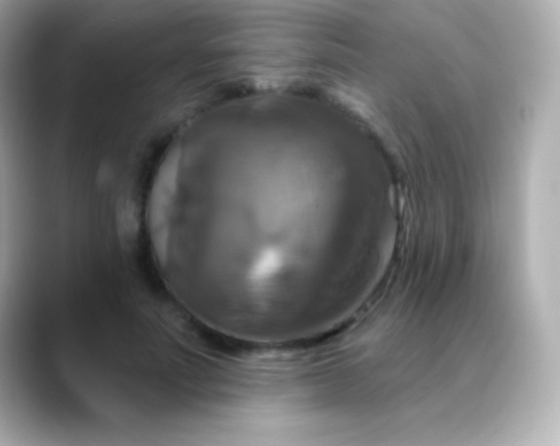 X0000088470691200706051342