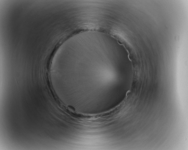 X0000088470692200706051342