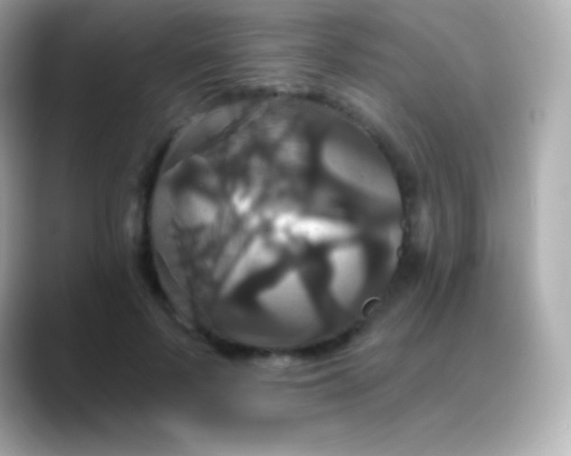 X0000088470695200706051342