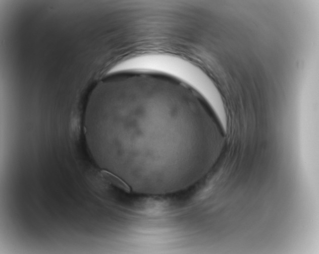 X0000088470697200706051342